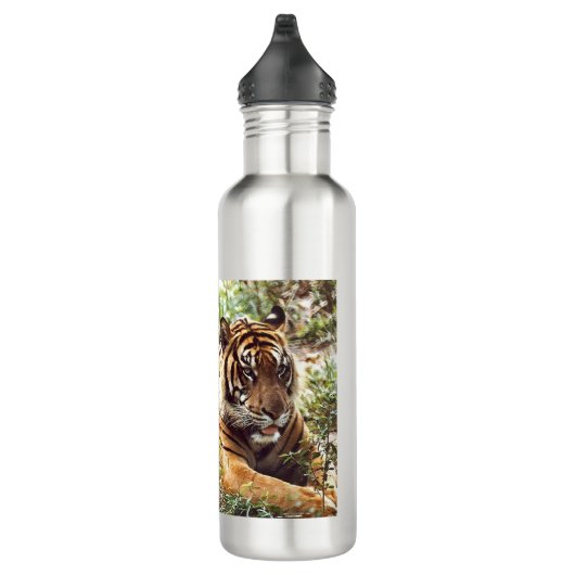 Repose de la bouteille d'eau de Tigre de Sumatran (Droite)