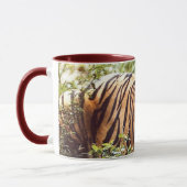 Repose de la tasse de tigre de Sumatran (Gauche)