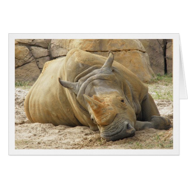 Repose de Rhino (Devant Horizontal)