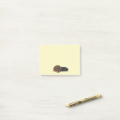 Repose des notes post-it Dachshund (Sur un bureau)