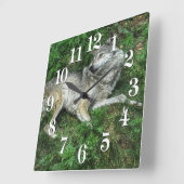 Repose Loup gris 2 Horloge de la faune (Angle)