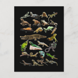 Reptiel Collage Hagedis Gecko Baardagaam Briefkaart
