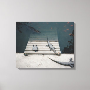 Reptielen Basking Canvas Afdruk