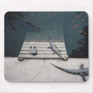 Reptielen Basking Muismat