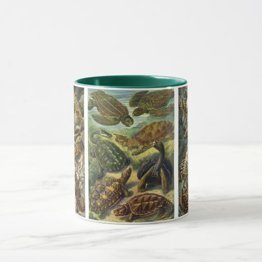 reptielen en amfibieën door Ernst Haeckel Mok (Midden)