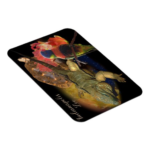 Reptielen en vogels uit de dierentuin van Indianap Magneet (Rechterzijde)