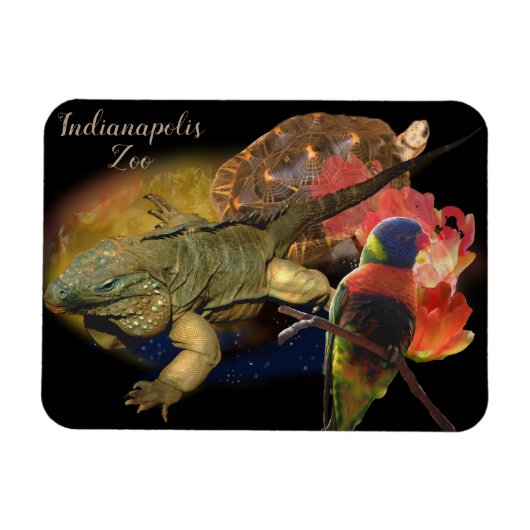 Reptielen en vogels uit de dierentuin van Indianap Magneet (Horizontaal)