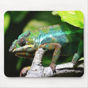 Reptielen, hagedissen, natuur muismat