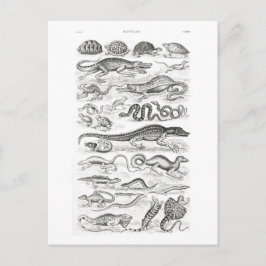 Reptielen van Oliver Goldsmith - kunst Briefkaart