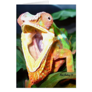 reptielkaart