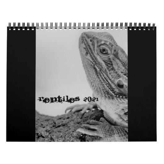 Reptielkalender 2021 kalender (Hoes)