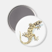 Reptielmagneet Magneet (Voorkant / Achterkant)