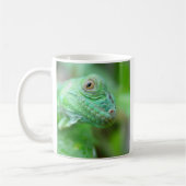 Reptile vert de lézard d'iguane sur la tasse de (Gauche)