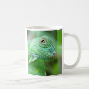 Reptile vert de lézard d'iguane sur la tasse de