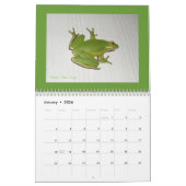 Reptiles et amphibiens du calendrier #1 (Jan 2026)