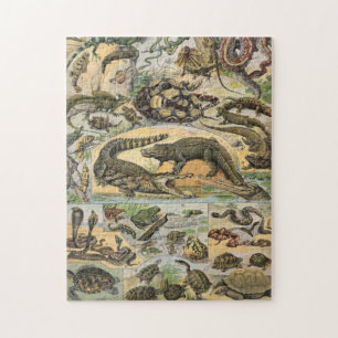 Reptiles Illustration By Adolphe Millot Legpuzzel