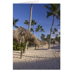 République dominicaine, Caraïbes, Punta Cana, 5