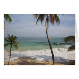République dominicaine, côte nord, Abreu, Playa 4