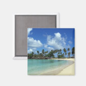 République Dominicaine Magnet (Recto/Verso)