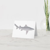 Requin à bec (Devant)