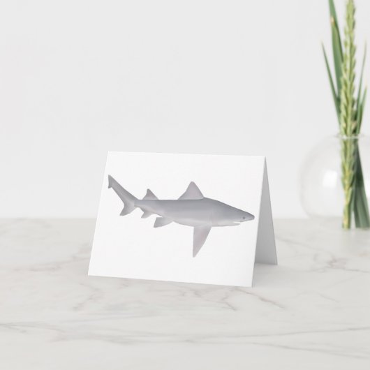 Requin à bec (Devant)