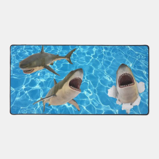 Requin blanc (Recto)