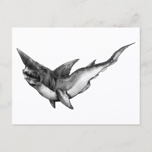 Requin gobelin - Carte postale (Devant)
