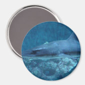 Requin nageant dans l'océan Photo Magnet (Recto/Verso)