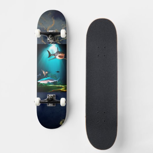 Requin sur skateboard (Recto)
