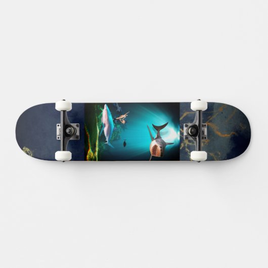 Requin sur skateboard (Horz)