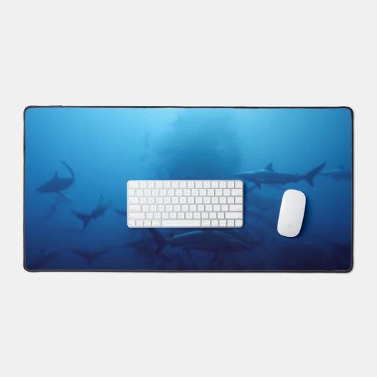 REQUINS (Clavier et souris)