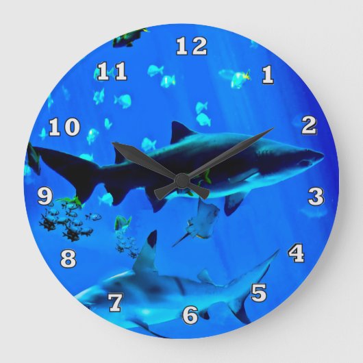 Requins à pointe noire grande horloge (Recto)