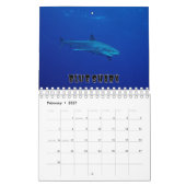 Requins Collection Showcase Wall Calendrier (Feb 2027)