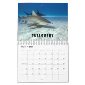 Requins Collection Showcase Wall Calendrier (Mar 2027)