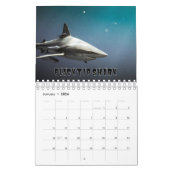 Requins Collection Showcase Wall Calendrier (Jan 2026)
