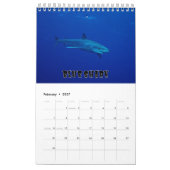 Requins Collection Showcase Wall Calendrier (Feb 2027)