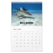 Requins Collection Showcase Wall Calendrier (Mar 2026)