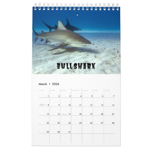 Requins Collection Showcase Wall Calendrier (Mar 2026)
