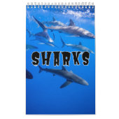 Requins Collection Showcase Wall Calendrier (Protection)