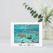 Requins dans la lagune Bora Bora carte postale en (Debout devant)