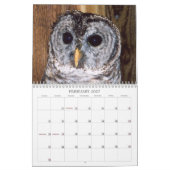Rescuated Animals Calendar Kalender (Feb 2027)