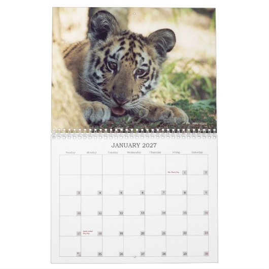 Rescuated Animals Calendar Kalender (Jan 2027)