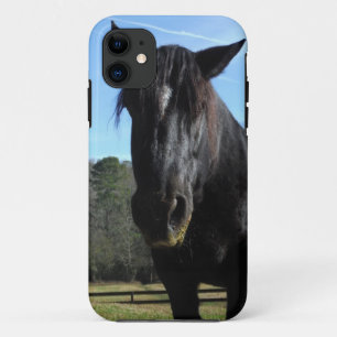 Rescuated Black Draft Horse iPhone 11 Hoesje