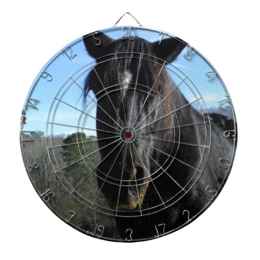 Rescuated Black Draft Horse Dartbord (Voorkant)