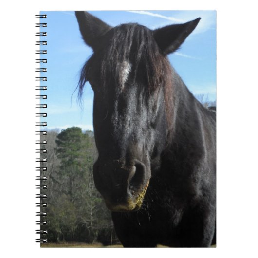 Rescuated Black Draft Horse Notitieboek (Voorkant)