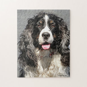 Rescuated Springer Spaniel Dog Jigzaag Puzzle Legpuzzel