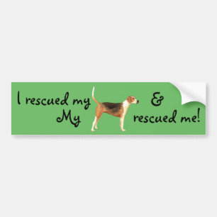 Rescue American Foxhound Bumpersticker
