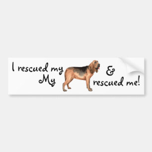 Rescue Bloodhound Bumpersticker