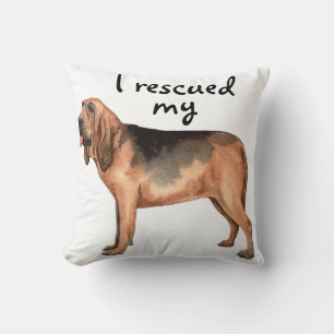 Rescue Bloodhound Sierkussen