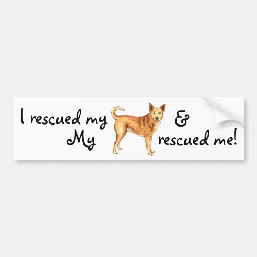 Rescue Canaan Dog Bumpersticker (Voorkant)